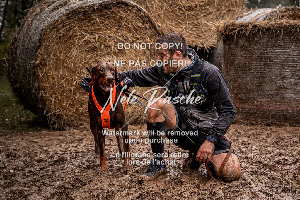 nelerasche_Hunsrück_So09-11_118 | nelerasche