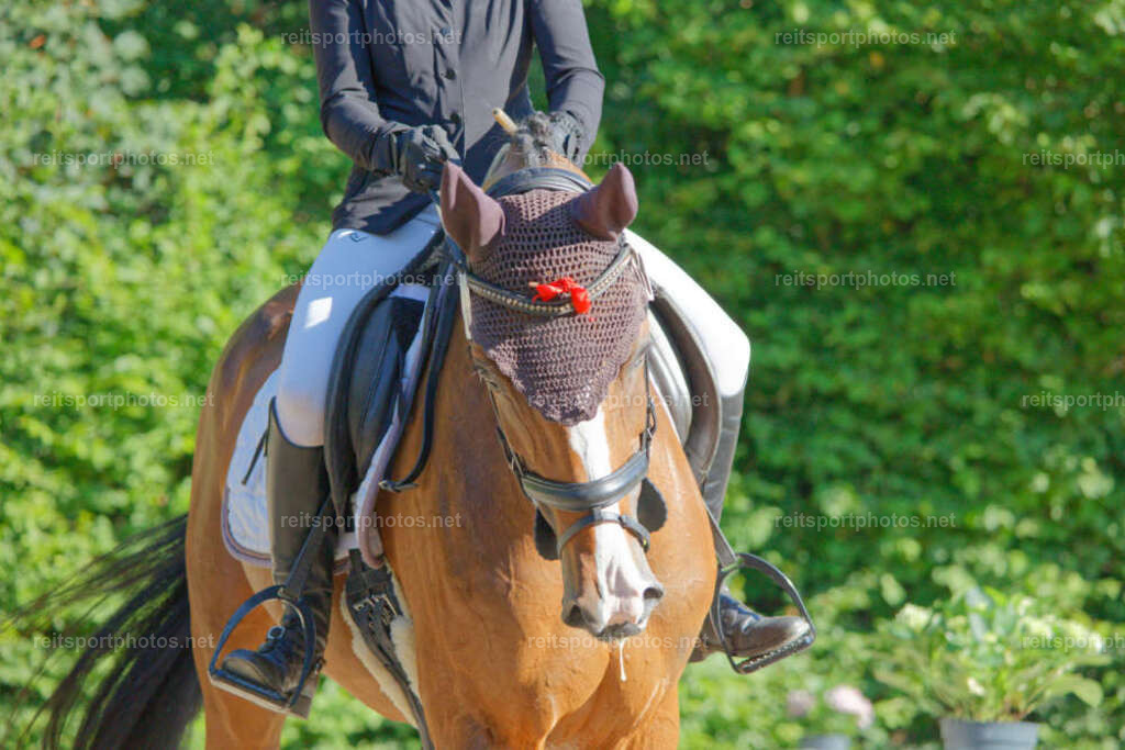 JHE_0927 | JoYa Fotografie - Realisiert mit Pictrs.com