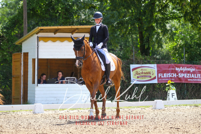 DKP42542 | Turniersportfotografie; Pferdefotografie; Dressurfotografie