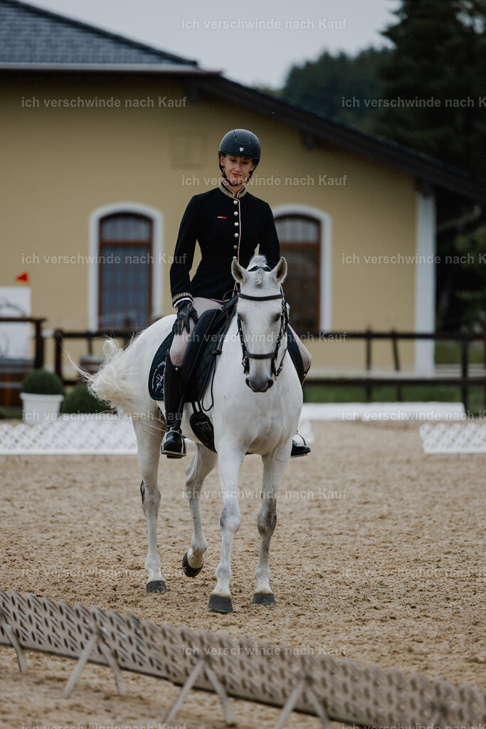 Virginie12FHC2025-25160 | working equitationturnier fotograf videograf stoibphotography marixx film working equitation deutschland reitsport turnierfotografie eventfotografie equestrian events
