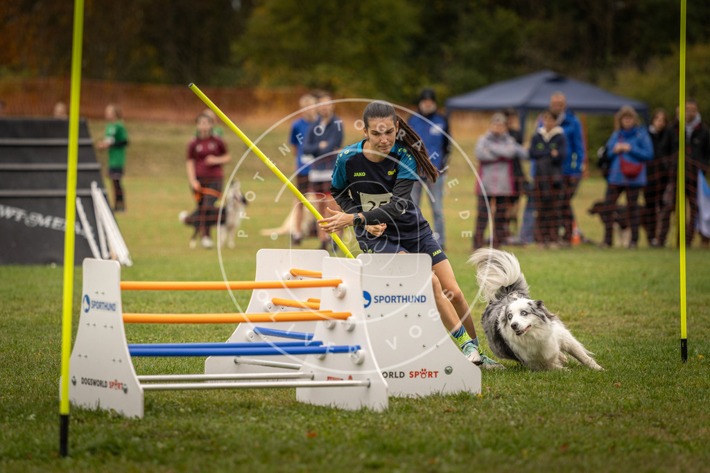 Pfotenfotografie_DV3A6096 | Hundefotografie, Tierfotograf, Pfotenfotografie, Fotoshooting Hund, Hunde Portrait, Hundesport, Hundeportraits, Heideshooting, Hunde, Sportfotograf, Hundefotograf, Turnierhundsport, THS,  - Realisiert mit Pictrs.com