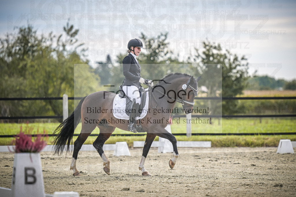 DOS_0947 | Entdecke hochwertige Reitturnierfotos von Foto Oger. Professionell, emotional und authentisch – jetzt Lieblingsmomente im Shop bestellen.Deutschlandweite Turnierfotografie. - Realisiert mit Pictrs.com