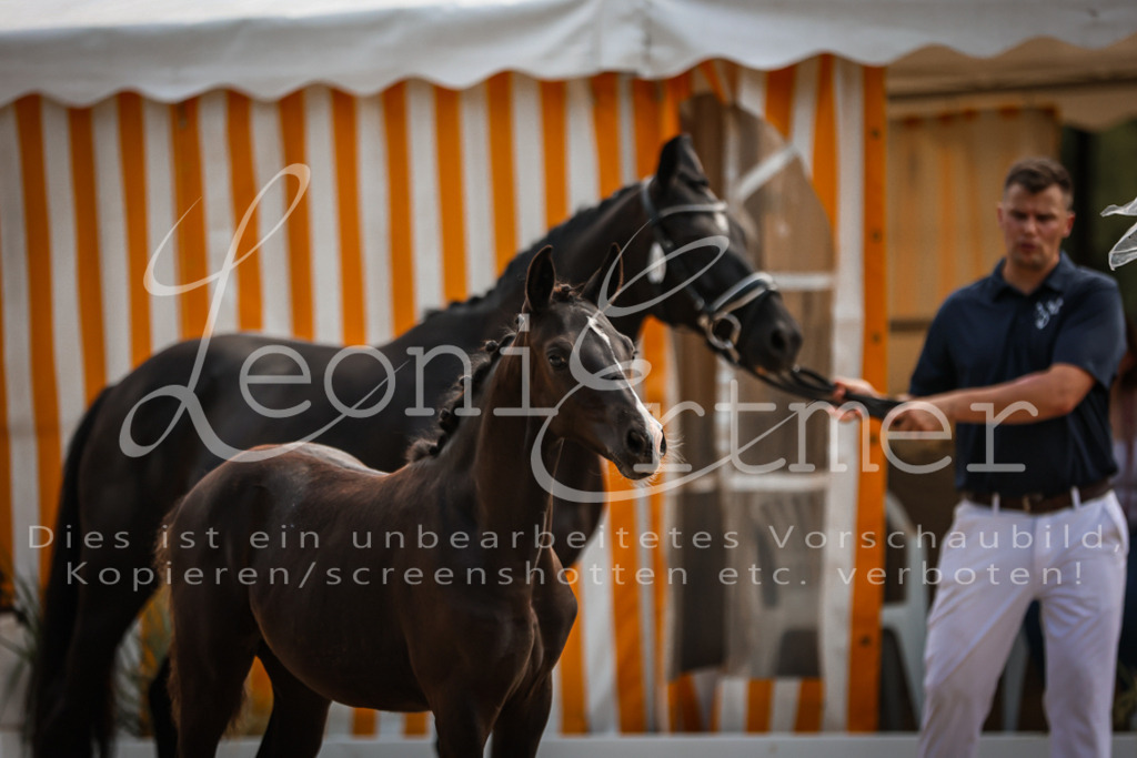 10.DoRP00070 | Leoni Ertmer Photography - Realisiert mit Pictrs.com