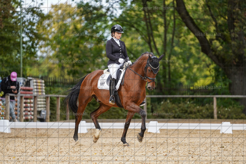 20231007-SN_00620 | Diessen am Ammersee, 2023, Dressur- und Springturnier, Reitsport, Turnierfotografie, Pferdebilder, Reitbilder, Turnierfotografen Bayern, Fotoagentur Herrmann