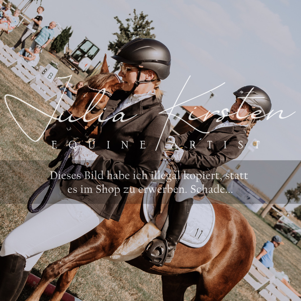 DSC_4500 | Pferde- und Turnierfotografie in Westsachsen. Pferdeportraits, Auftragszeichnungen und intuitive Kunst.