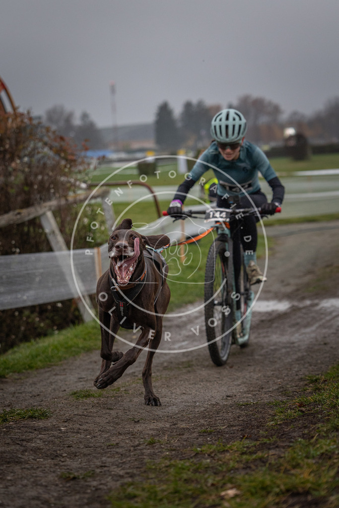 CaniXpix_0L8A0579 | Hundefotografie, Tierfotograf, Pfotenfotografie, Fotoshooting Hund, Hunde Portrait, Hundesport, Hundeportraits, Heideshooting, Hunde, Sportfotograf, Hundefotograf, Turnierhundsport, THS,  - Realisiert mit Pictrs.com