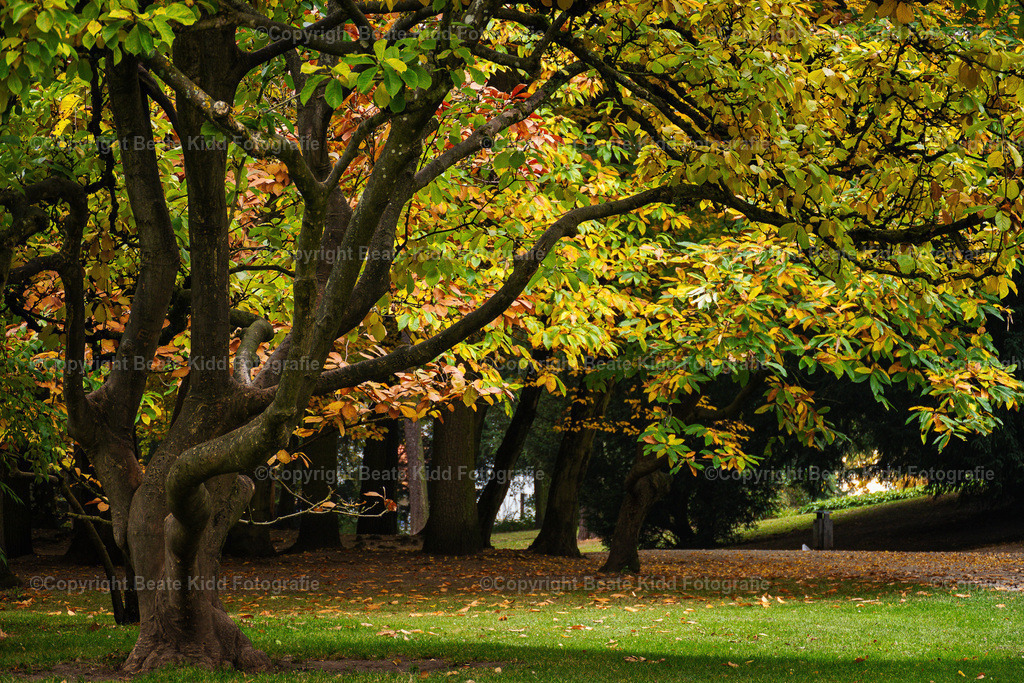 P1230797 | beatekidd-fotografie - Realisiert mit Pictrs.com