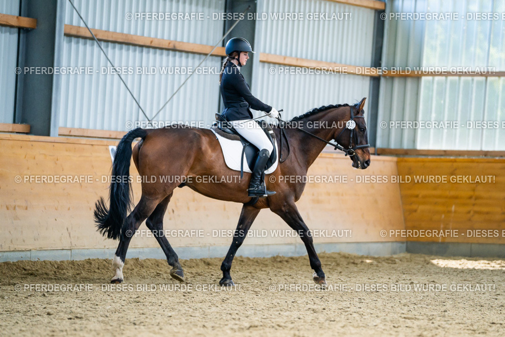 DSC05710 | Pferdegrafie