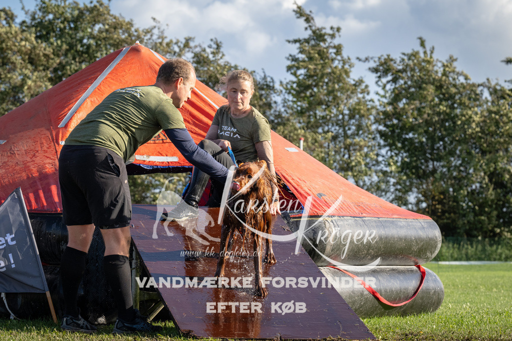 1455-90386 | kk-dogfotos