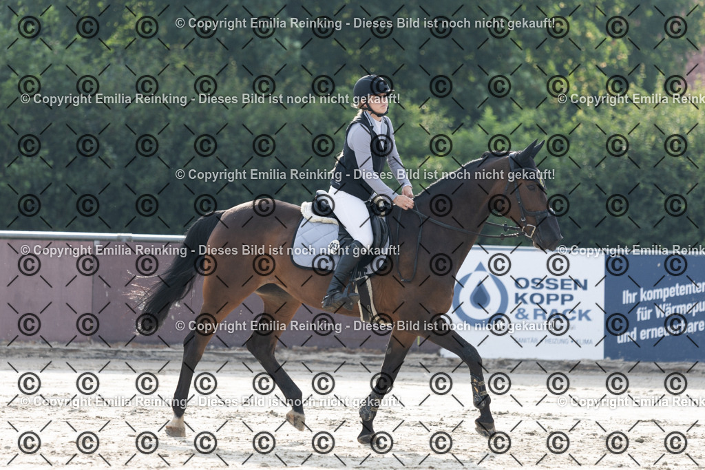 CL5A1633 | Emilia Reinking Fotografie - Realisiert mit Pictrs.com