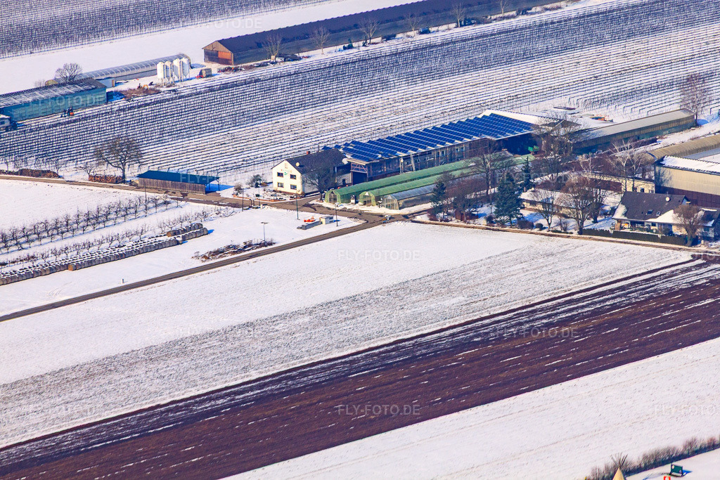 Luftbild: Zapf Hofmarkt im Winter bei Schnee in Kandel im Bundesland Rheinland-Pfalz in Deutschland. Foto: IMG_24355.jpg vom 16.02.2010 durch Werner Riehm/FLY-FOTO.de