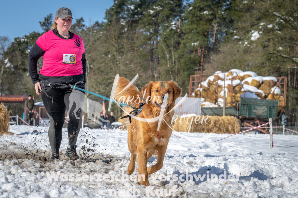 1133_ZZ90156-4 | kk-dogfotos