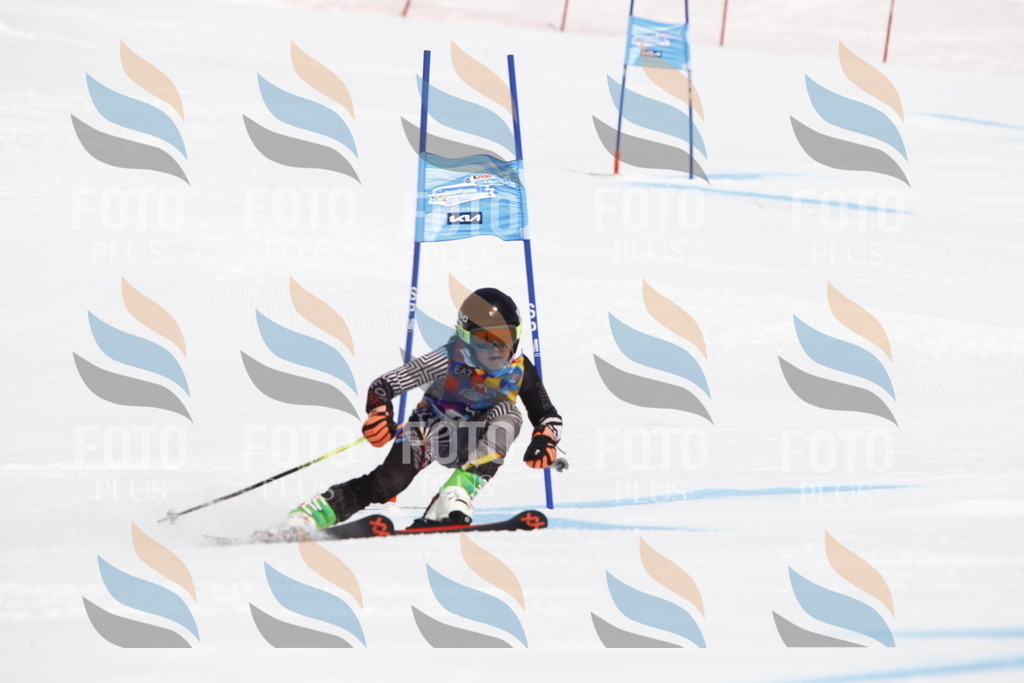 _U3G4242 | holidayphoto