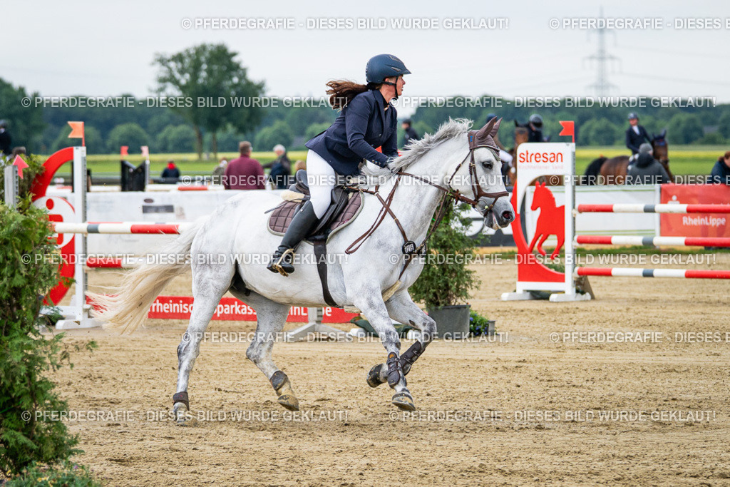 DSC05539 | Pferdegrafie