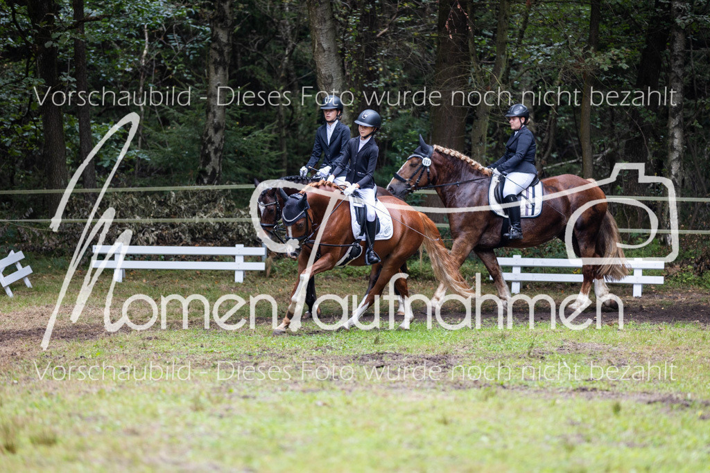 HB-Reiter-WB-067 | MomenTaufnahmen Pferdesportfotos