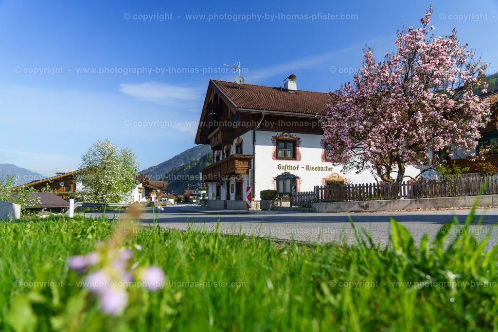 Stumm im Frühling copyright  Thomas Pfister-7 | PHOTOGRAPHY BY THOMAS PFISTER