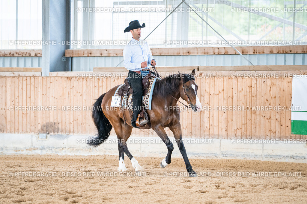 DSC02060 | Pferdegrafie