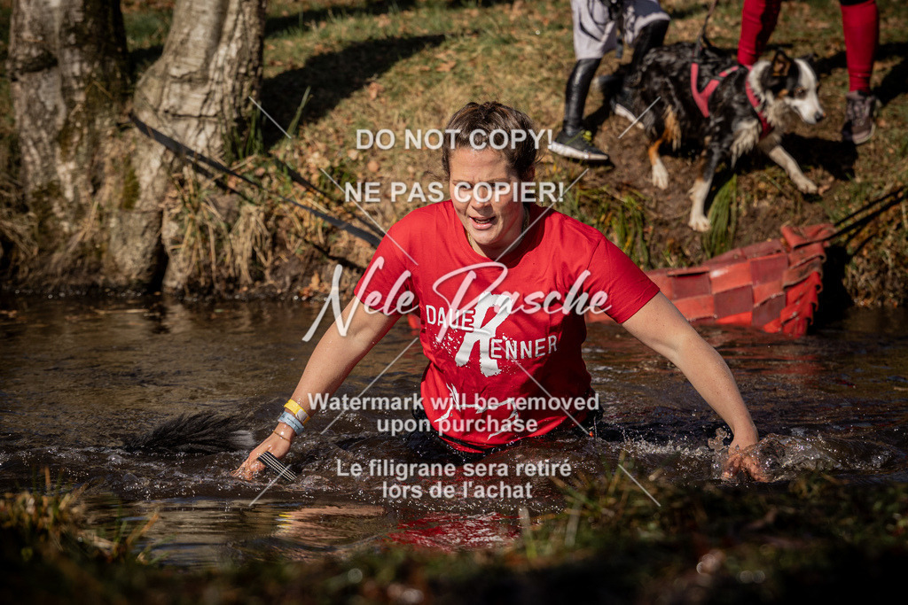 nelerasche_FS1100-1145_479 | nelerasche