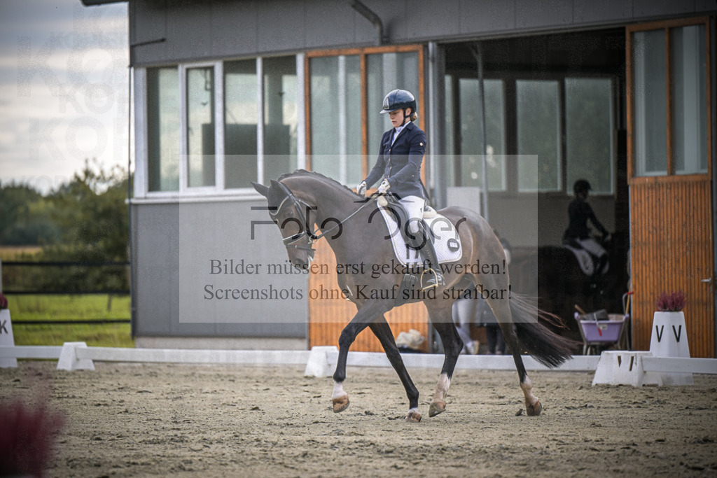 DOS_1316 | Entdecke hochwertige Reitturnierfotos von Foto Oger. Professionell, emotional und authentisch – jetzt Lieblingsmomente im Shop bestellen.Deutschlandweite Turnierfotografie. - Realisiert mit Pictrs.com