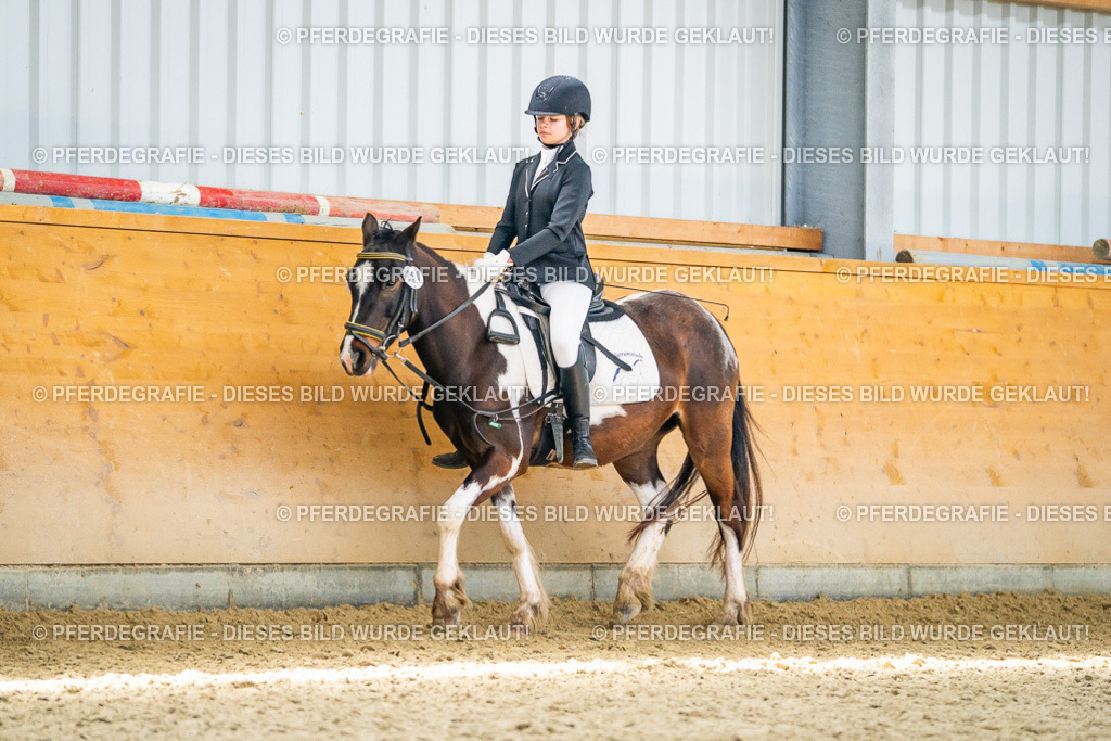 DSC03281 | Pferdegrafie