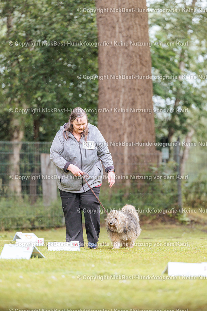RO-Blumenthal-2026-Nickbest-Hundefotografie-3535 | Dein Hund! Dein Moment! Deine Erinnerungen! Hundefotografie in Bremen Blumenthal. Ich fange die besonderen Momente deines Vierbeiners ein – ob Indoor mit Blitzanlage oder in der freien Natur. Sicher dir dein Moment und dein Termin für eure Erinnerungen.