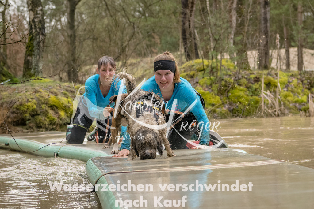 1341_ZZ90448-Bearbeitet | kk-dogfotos
