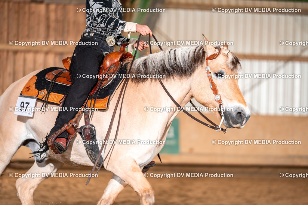 Balingen Tag 4-628 | dv-media-shop - Realisiert mit Pictrs.com