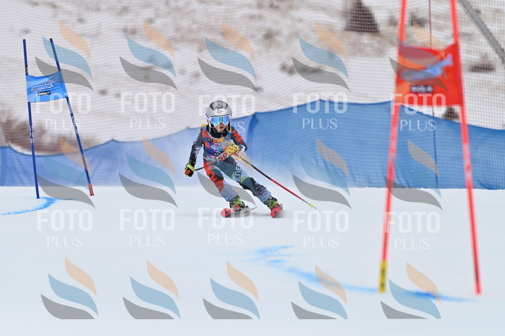 BGV_0109 | holidayphoto