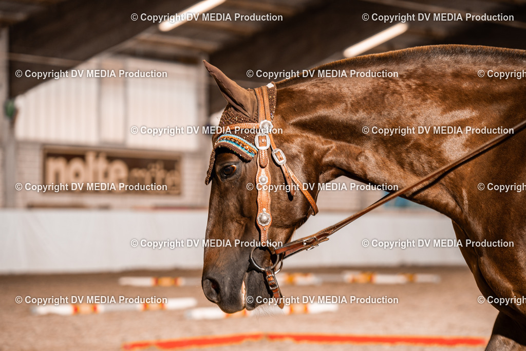 ZH300193 | dv-media-shop - Realisiert mit Pictrs.com