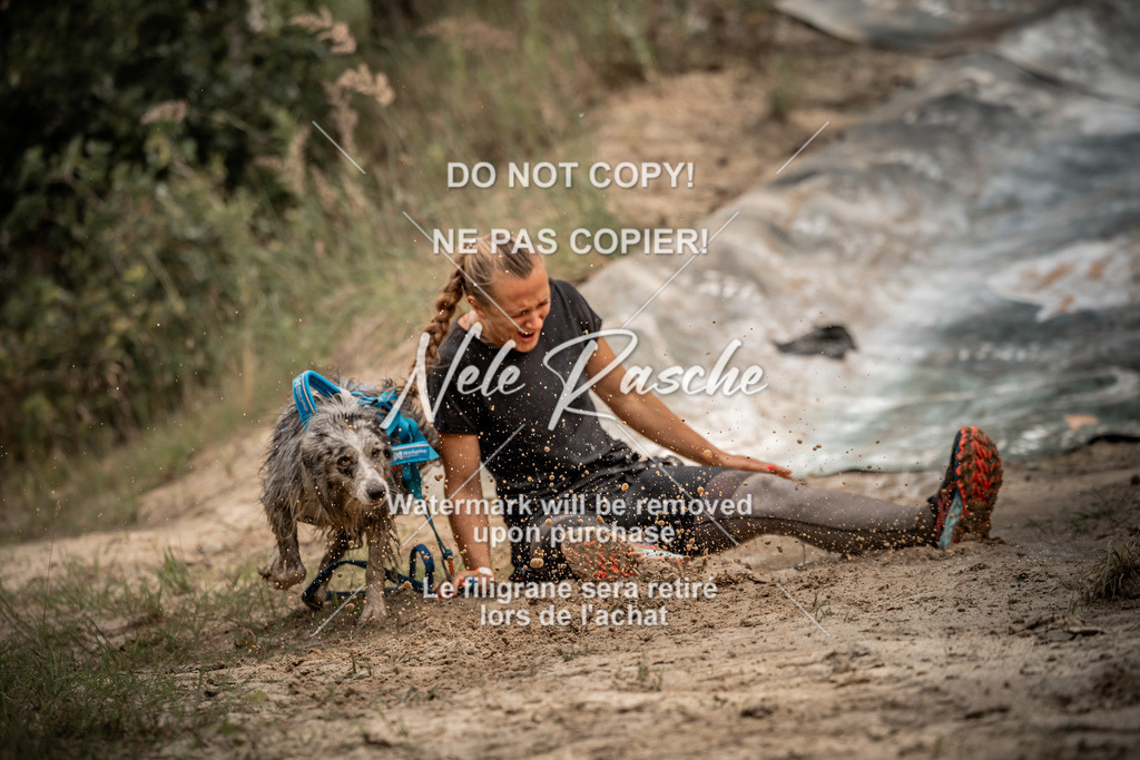 nelerasche_sa0800-1000_120 | nelerasche