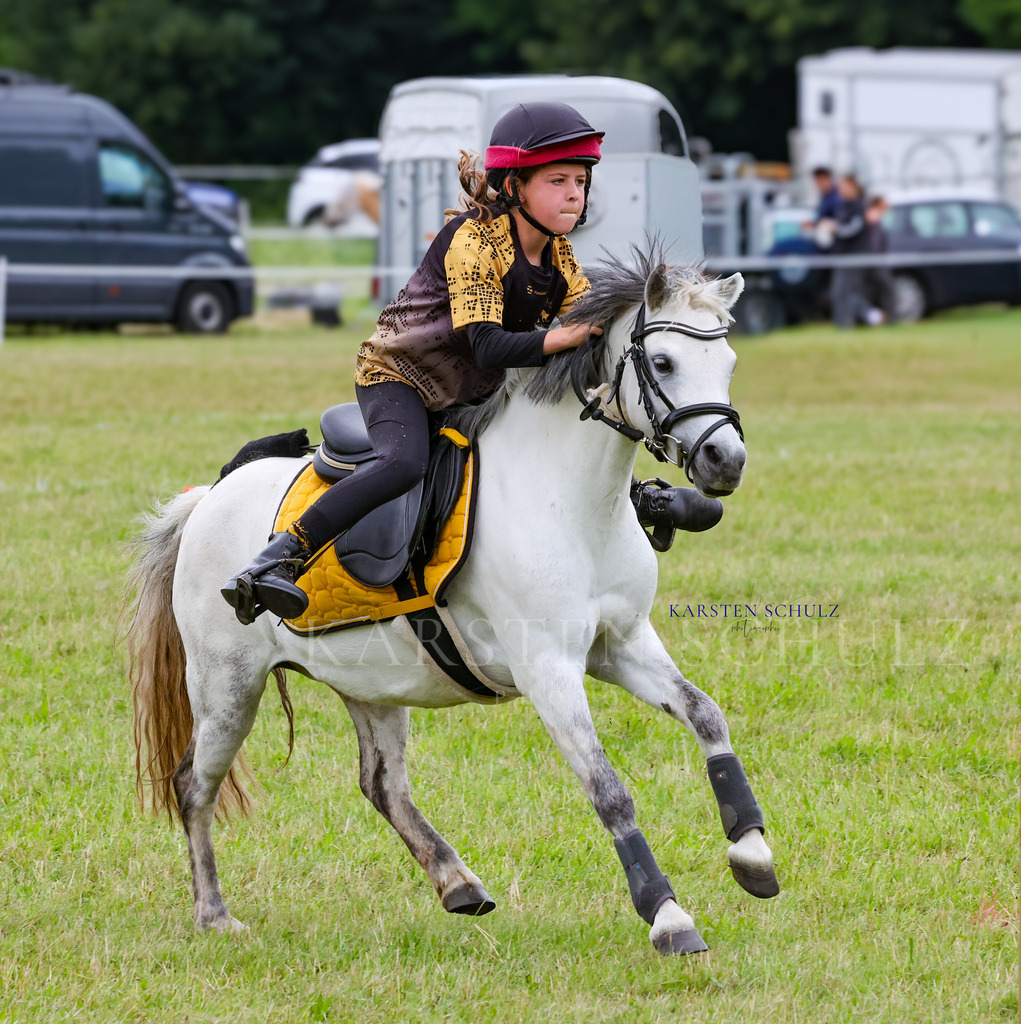 1B3A1541 | Reitsport Reiten