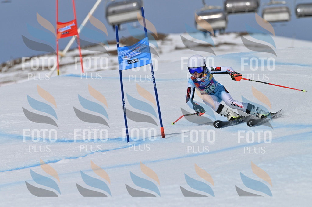 BGV_6199 | holidayphoto