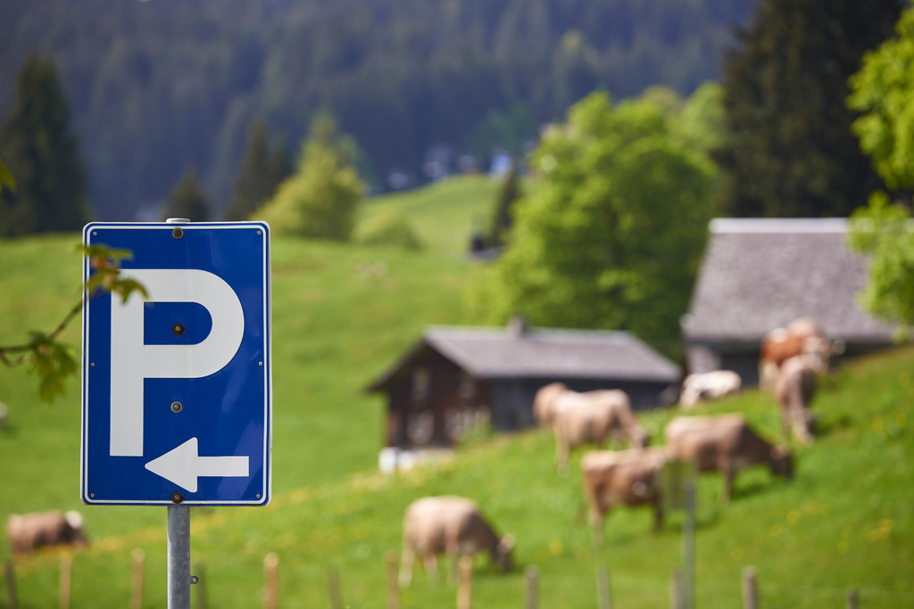 Parkplatzschild und weidende Kuehe | Dornbirn, Austria - May 27, 2016: Parkplatzschild, im Hintergrund weidende Kuehe und Almhuetten. - Realisiert mit Pictrs.com