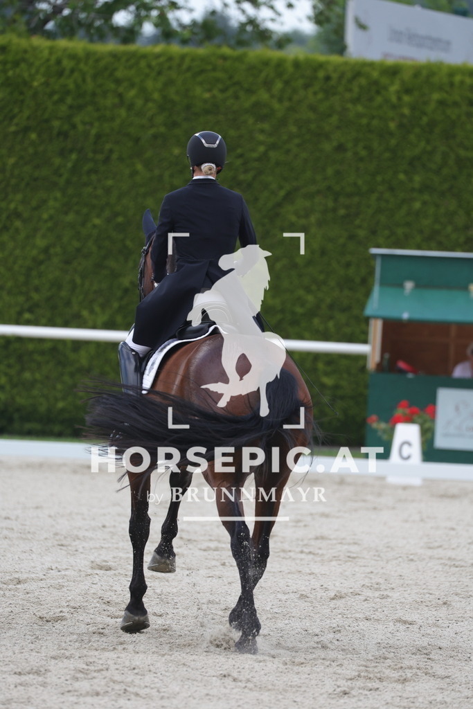0P6A6904 | Willkommen bei Brunnmayr - Design & Fotografie – Ihrem Spezialisten für Reitturniere und Pferdeveranstaltungen in Oberösterreich, Salzburg und Bayern! Seit über 17 Jahren sind wir leidenschaftlich dabei.