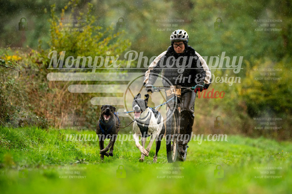 TSB_2023_E6_DS2-19 | PayLife