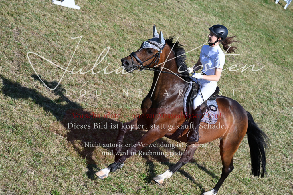 DSC_2049 | Pferde- und Turnierfotografie in Westsachsen. Pferdeportraits, Auftragszeichnungen und intuitive Kunst.