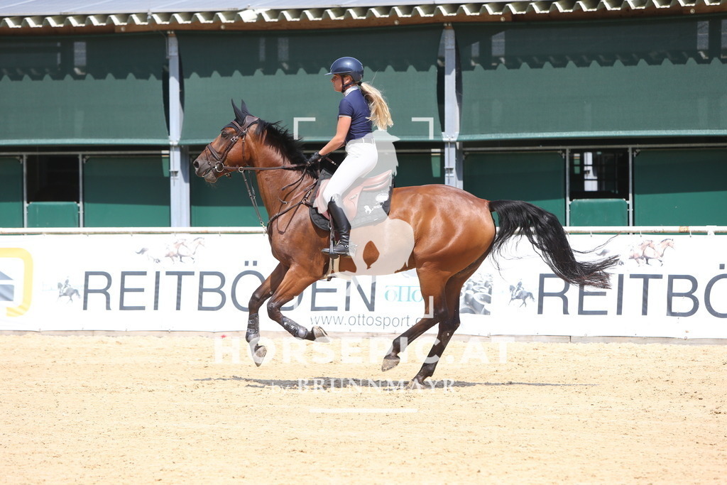 DL2Q0978 | Willkommen bei Brunnmayr - Design & Fotografie – Ihrem Spezialisten für Reitturniere und Pferdeveranstaltungen in Oberösterreich, Salzburg und Bayern! Seit über 17 Jahren sind wir leidenschaftlich dabei.