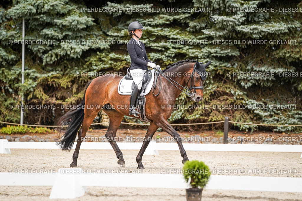 DSC05885 | Pferdegrafie