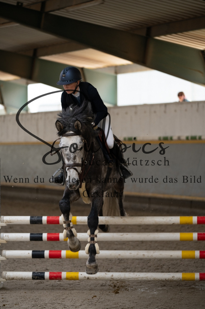 A7V08153 | Pferdefotograf