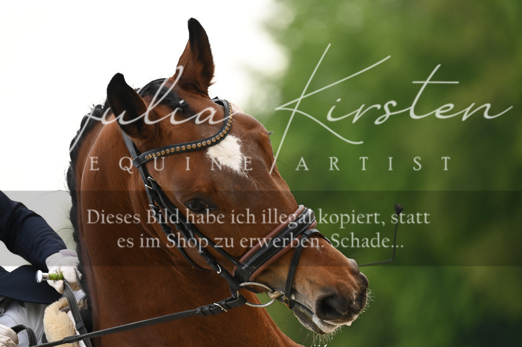 20230512_JK-Röhrsdorf-02-233 | Pferde- und Turnierfotografie in Westsachsen. Pferdeportraits, Auftragszeichnungen und intuitive Kunst.