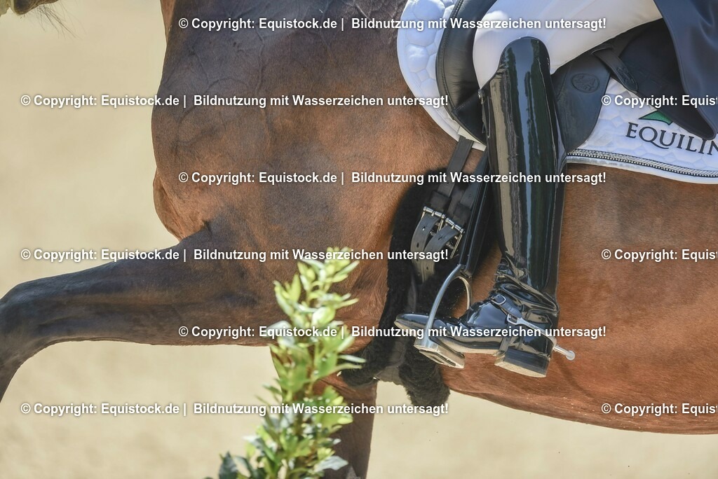 TP5_1350 | equistock