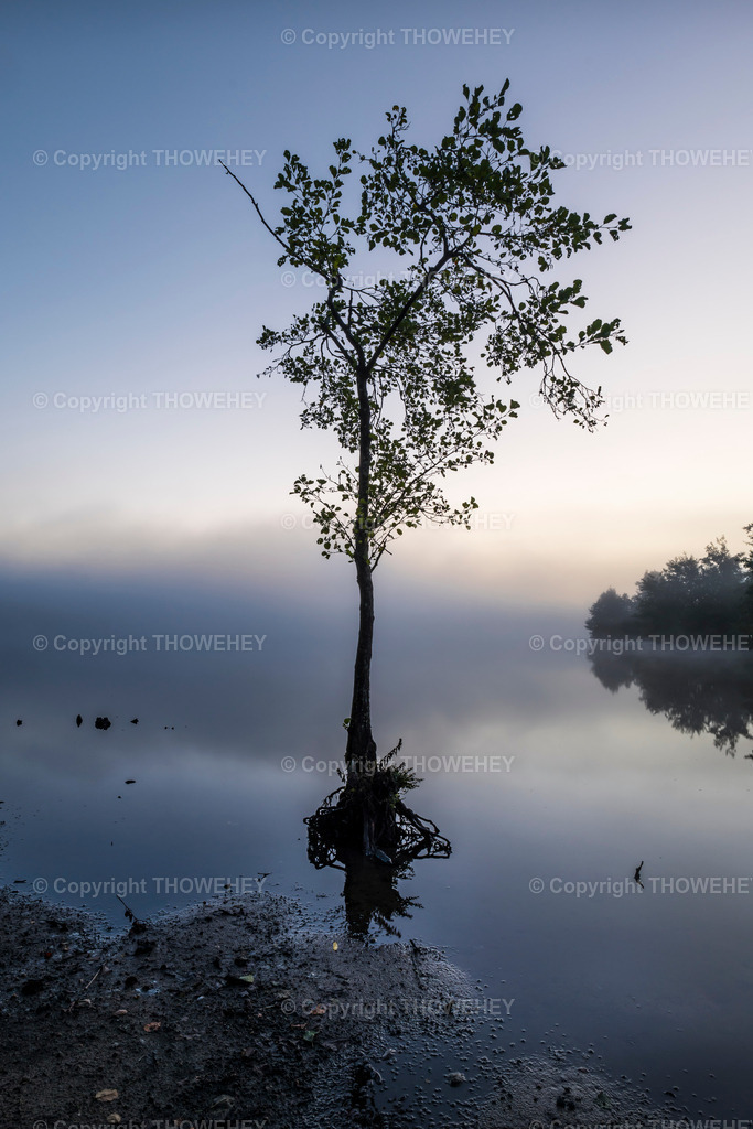 _1009576 | thowehey - Realisiert mit Pictrs.com