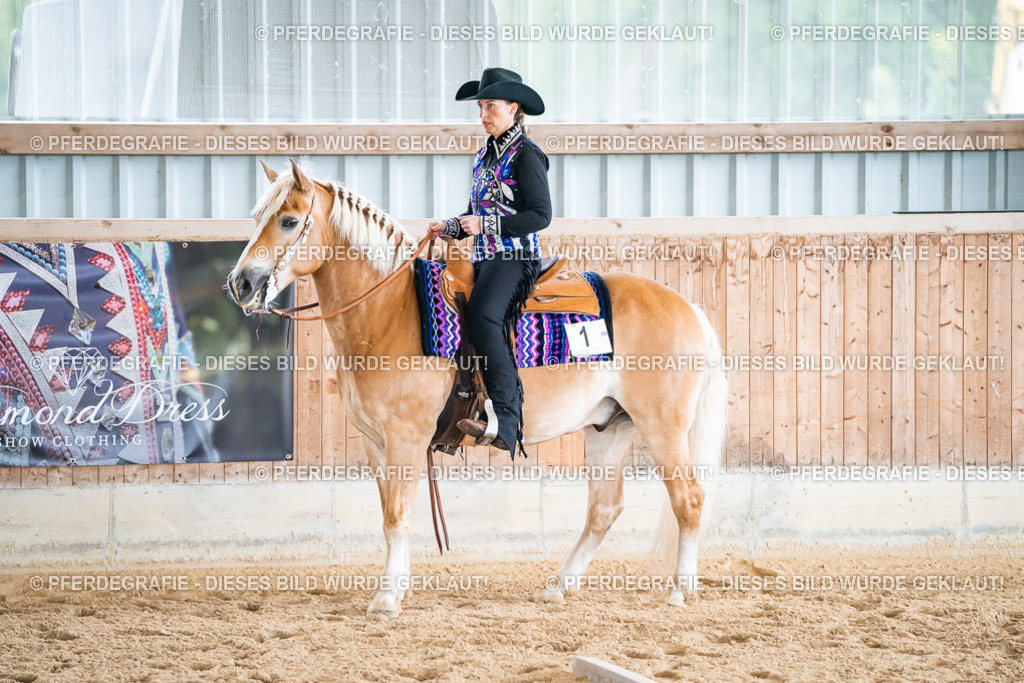 DSC01646 | Pferdegrafie