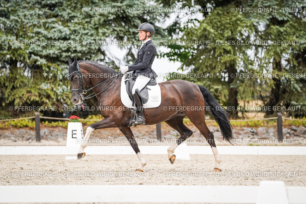 DSC07650 | Pferdegrafie