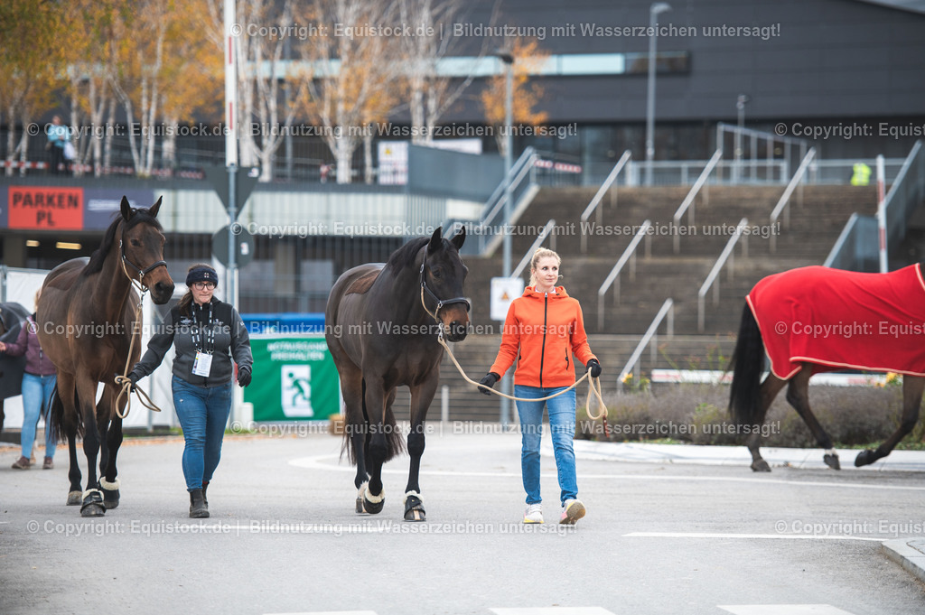 20251114_Jessica-von-Bredow-Werndl_TOMSPIC_0038 | Foto: Thomas Hartig