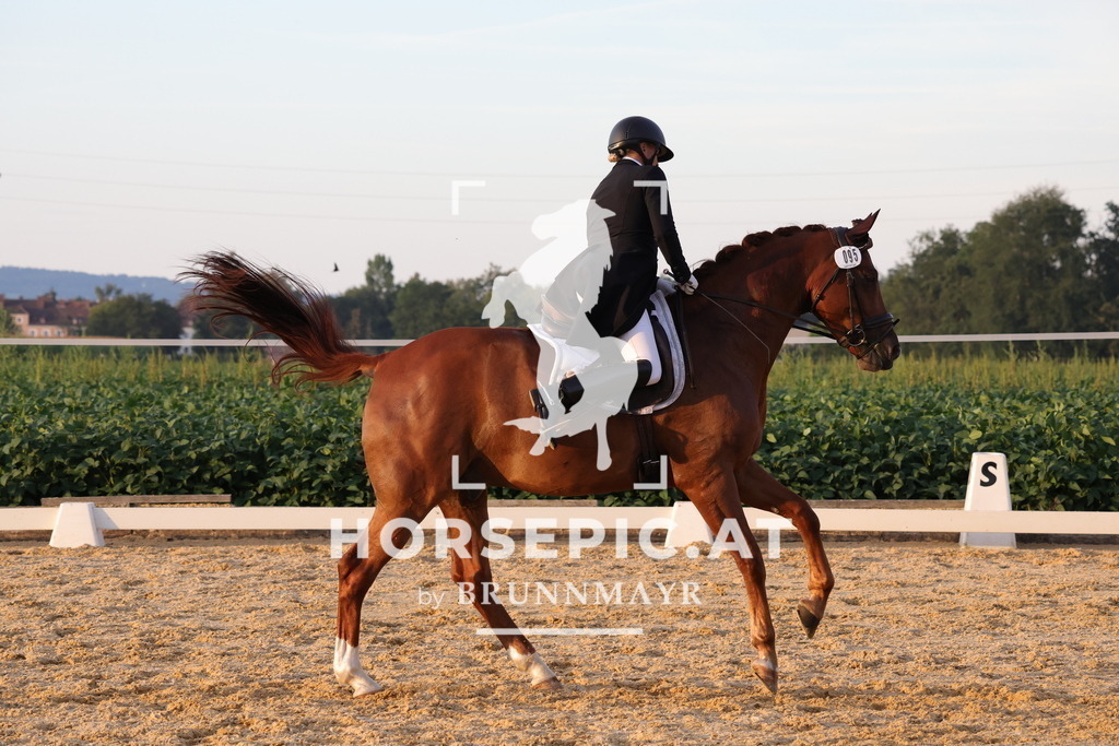 0P6A2003 | Willkommen bei Brunnmayr - Design & Fotografie – Ihrem Spezialisten für Reitturniere und Pferdeveranstaltungen in Oberösterreich, Salzburg und Bayern! Seit über 17 Jahren sind wir leidenschaftlich dabei.