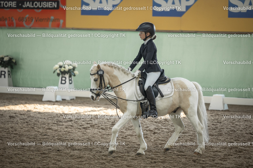 _D5A5655 | Emotionale Pferde- & People-Fotografie rund um Heidelberg, Leimen & Umgebung. Natürliche Fotos von Pferd, Mensch & Familie. Jetzt Termin sichern!