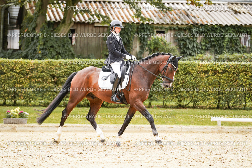 DSC02916 | Pferdegrafie