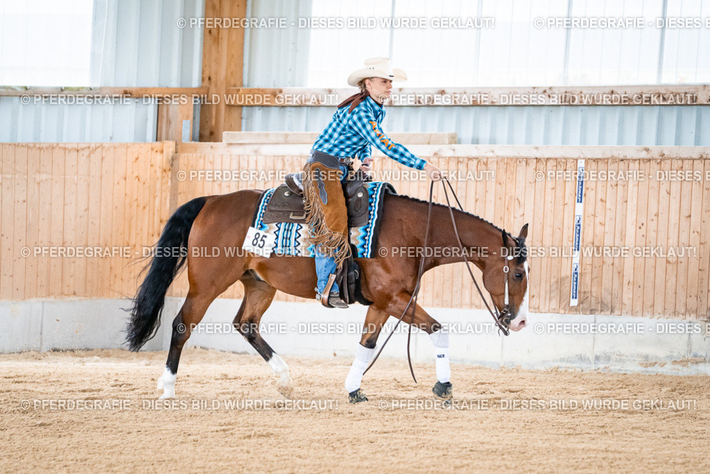 DSC08174 | Pferdegrafie