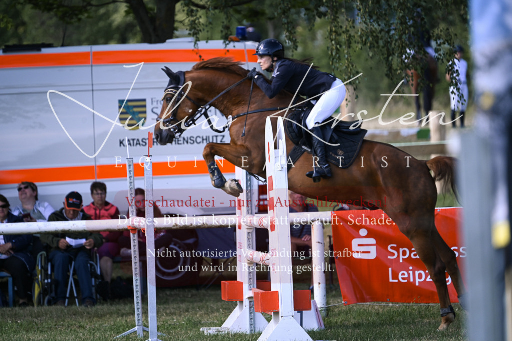 DSC_1365 | Pferde- und Turnierfotografie in Westsachsen. Pferdeportraits, Auftragszeichnungen und intuitive Kunst.